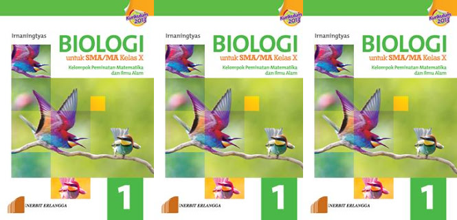 Pembahasan Biologi Erlangga Materi Archaebacteria dan Eubacteria Kelas 10