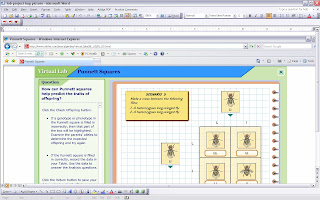 online lab #2 genetics