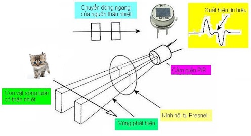 Cấu tạo cảm biến hồng ngoại