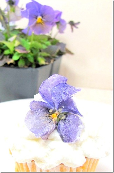 blue flowers