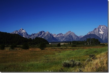 CanYNP 132