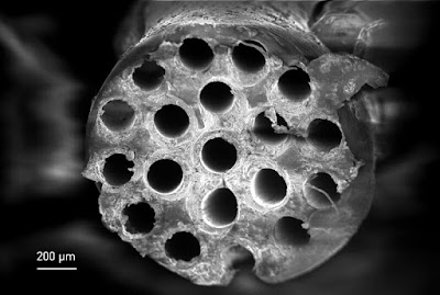 Safety of biomaterials in time of coronavirus