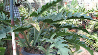 Type of Gardening Planters Artinya Design