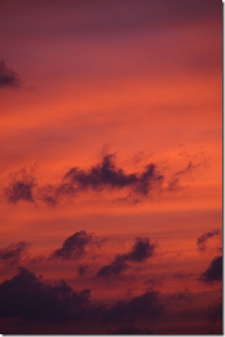 IMG_9485 (2) (533x800)