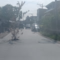‘Pohon' Tumbuh di Jalan Beraspal Jalan Sutomo Pagar Batu Balige