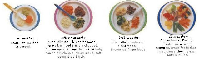 The Stages of Introducing Baby Solid Food
