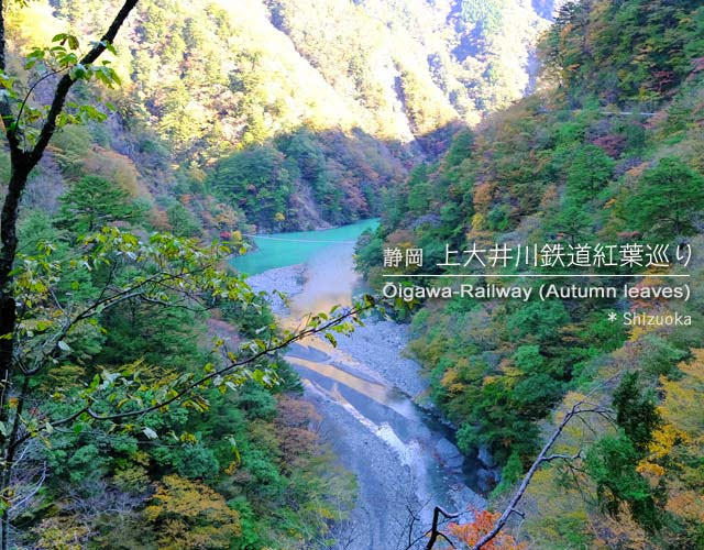 寸又峡と奥大井湖上駅の紅葉を見に行った