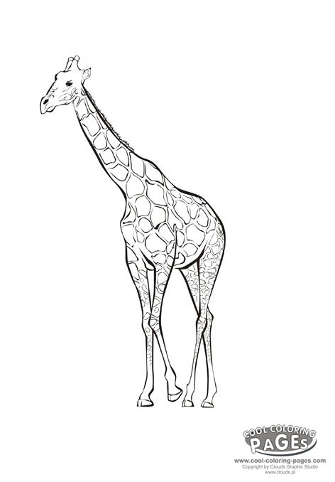 Giraffe Coloring Page