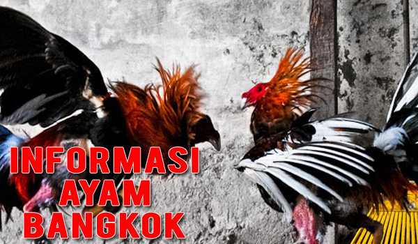 Ayam Bangkok