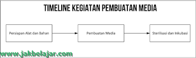 Contoh timeline kegiatan penelitian mikrobiologi