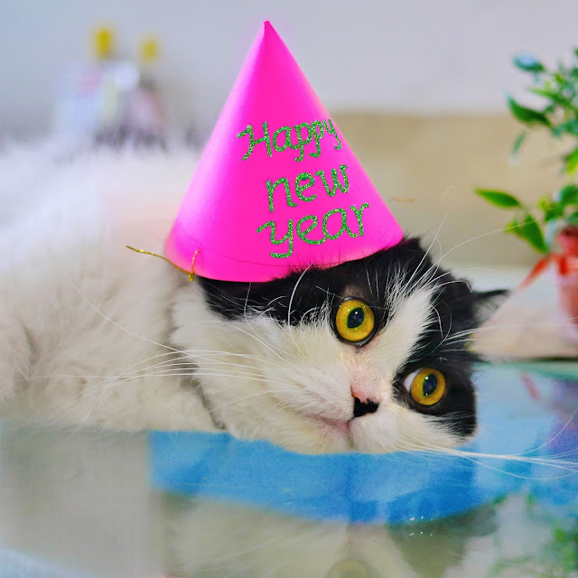 Happy New Year by travel oriented from flickr (CC-SA)