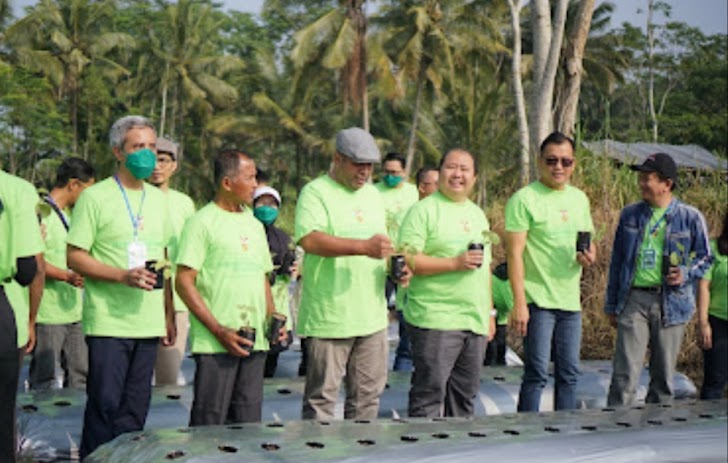 Farmasi UII dan Herbangin Tanam Seribu Bibit Habatussauda