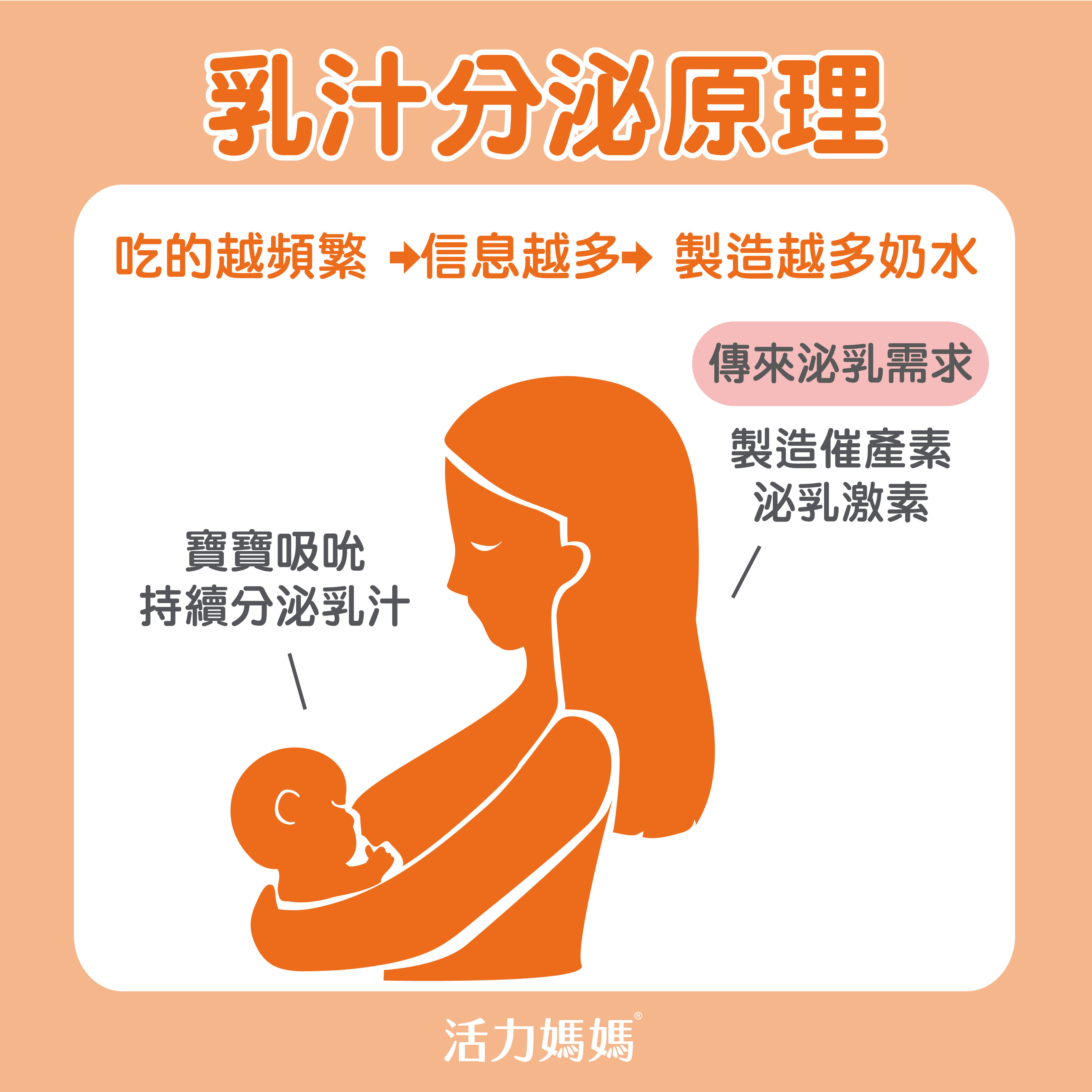 婴儿转奶的正确方法（简单易懂转奶必知）-幼儿百科-魔术铺