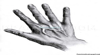 Pencil Drawings Hands