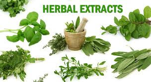 Obat Herbal De nature