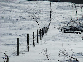 metal and wood fence in a field of snow