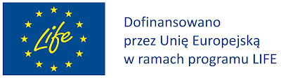 truskawki, tort smietanowo truskawkowy, energia od nowa, sezon na truskawki, efekt cieplarniany, zmiany klimatu, 2 stopnie C, punkt krytyczn energia od nowa, wwf, zycie od kuchni