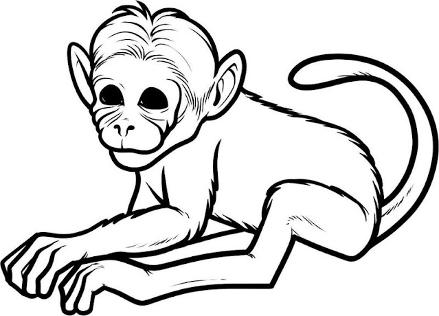 Monkey Coloring Pages Printable Pdf