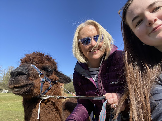 Selfie with alpaca