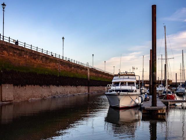 Photo of the pontoon piles towering above Ravensdale and the seaweed line shows the normal water level