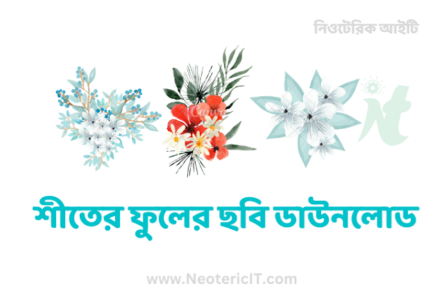 শীতের ফুলের ছবি ডাউনলোড - Winter flowers - NeotericIT.com