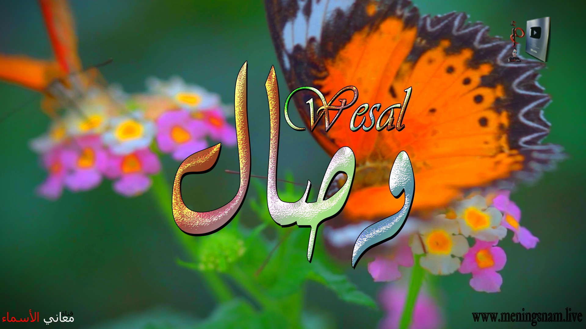 معنى اسم, وصال, وصفات, حاملة, هذا الاسم, Wesal,