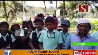 കൊയ്ത്തുത്സവത്തില്‍  വലവൂര്‍ ഗവ. സ്‌കൂളിലെ കുട്ടികള്‍ പങ്കെടുത്തു