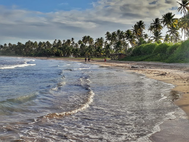 praia de bainema,moreré. Boipeba