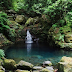 Floresta Laurissilva Ilha da Madeira