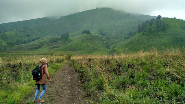 Bukit Teletubbies TNBTS