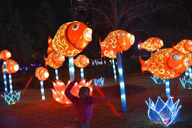 All Of the Lights: Chinese Lantern Festival   via  www.productreviewmom.com