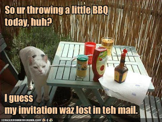 LOLcat at a BBQ