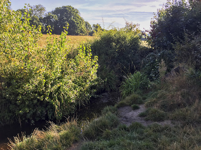 The Kyd Brook.  Walk round the Hawkwood Estate 06, 30 August 2016.