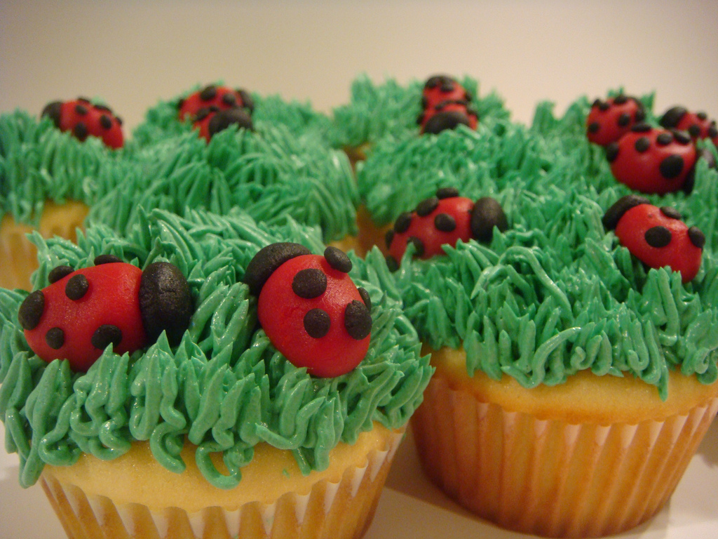 cupcakes Ladybug Cupcakes