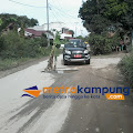 Camat Laguboti Bingung, Pohon Pisang Tumbuh di Jalan Beraspal