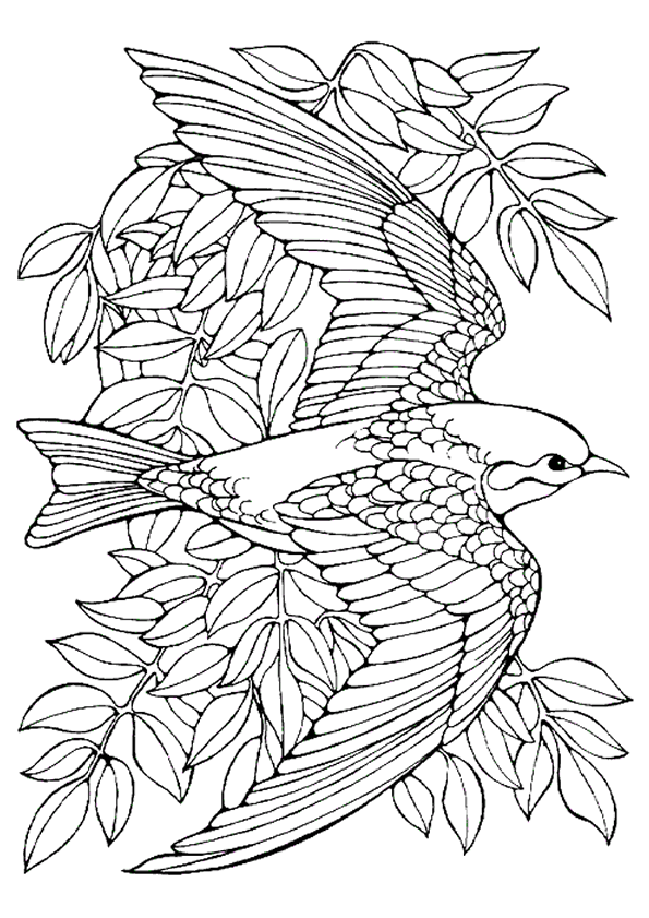oiseau coloriage imprimer