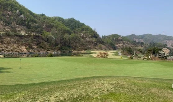 더플레이어스 제주