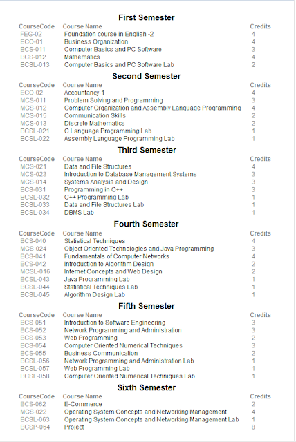 bca ignou syllabus