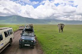 Nagorongoro Crater Conservation Area