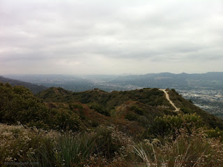 view towards lookout and city