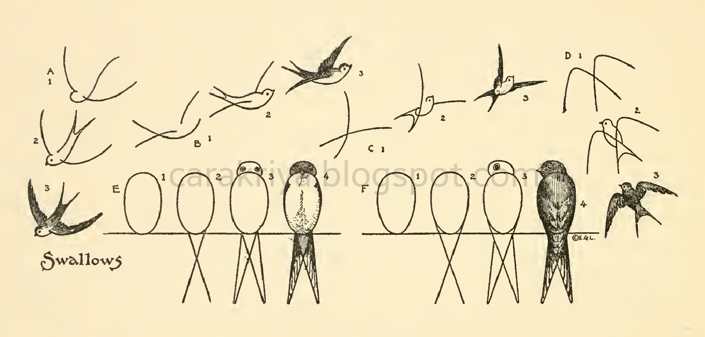Cara Kriya Cara mudah menggambar burung