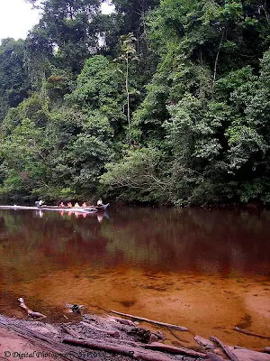 Boat at Kuala Tahan, Pahang