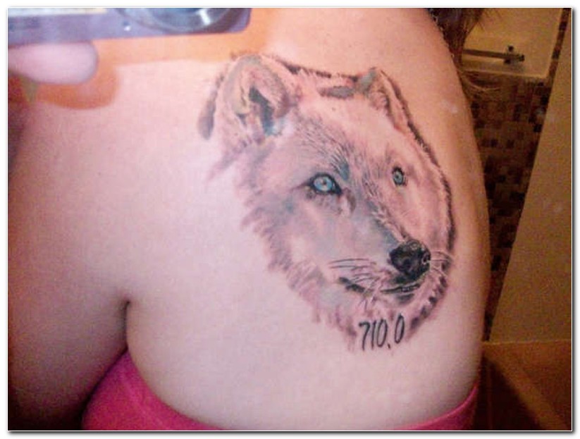 tribal wolf tattoos. tribal wolf tattoos. tribal wolf tattoos. tribal wolf tattoos. PlaceofDis. Jan 13, 03:04 PM. That childish prank is close to the