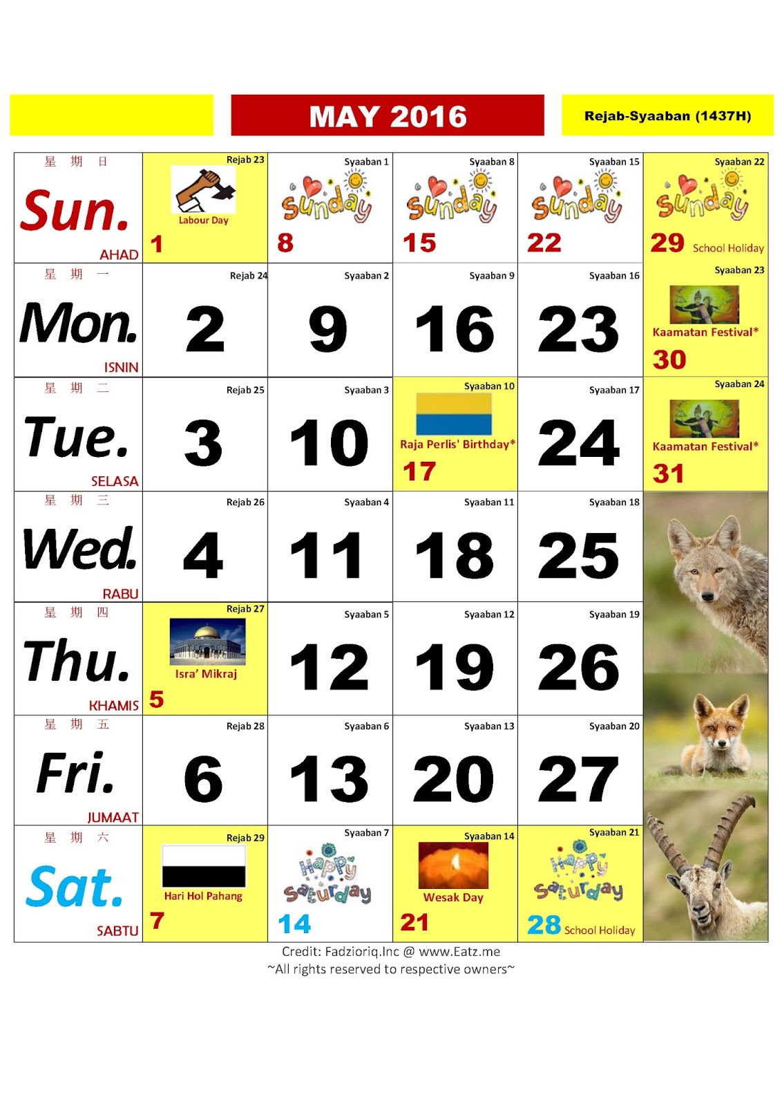 Koleksi Filem Melayu & Antarabangsa: Info - Kalender Kuda 