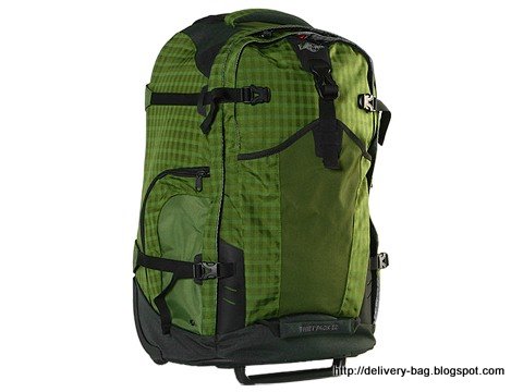 Delivery bag:delivery-1338826