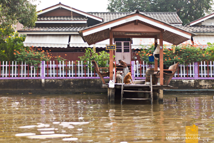 Chao Phraya River Tour Noi Canal