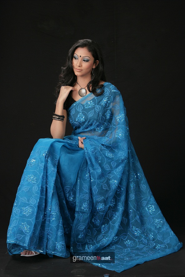 blue fancy saree