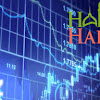 Bitcoin Halal Atau Haram Mui : Apakah Pubg Haram Atau Halal - Hack Pubg Mobile On Pc : Bitcoin halal or bitcoin haram is a concept that is not going to be resolved easily.