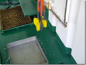 Decontamination Solution