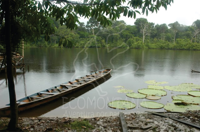 http://ecomontana.com.co/index.php/planes-turisticos-en-colombia/experiencia-amazonas